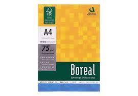 Resma Boreal A4 75gr