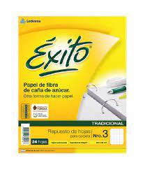 REPUESTO EXITO 24HJ CUADRICULADO
