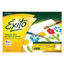 BLOCK  DIBUJO EXITO COLOR Nº5 24 HJ