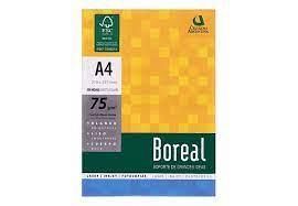 Resma Boreal A4 75gr