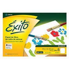 BLOCK  DIBUJO EXITO COLOR Nº5 24 HJ
