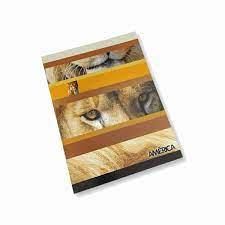 CUADERNO AMERICA T/F 48 HS RAYADO