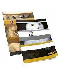 CUADERNO AMERICA T/F 24 HS RAYADO